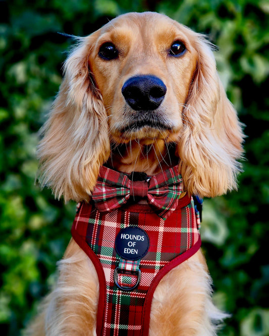 Tartan Me Up - Red & Cream Tartan Design Dog Bow Tie