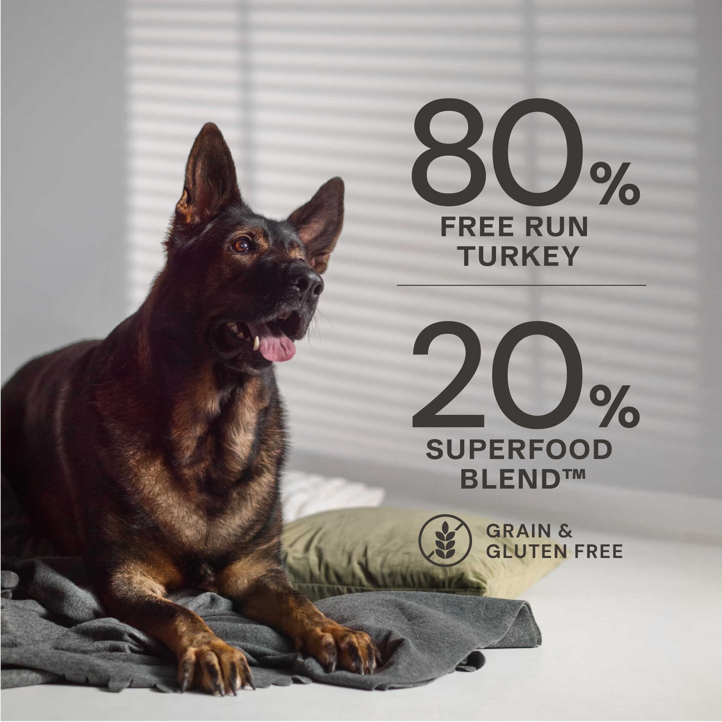 Free Run Turkey Dry Dog Food