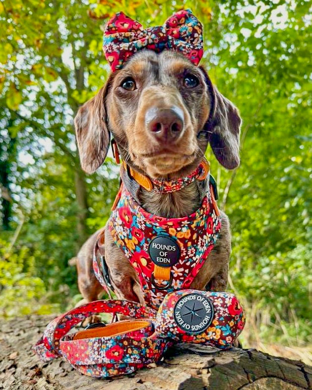 Retro Bloom Leather Dog Lead