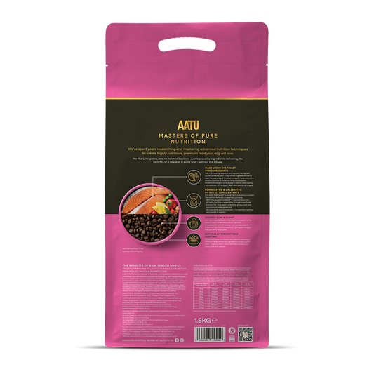 Salmon Dry Food for Puppies