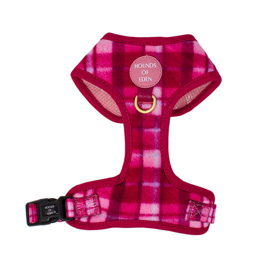 Rose Berry Plaid Dog Collar + Tag Holder