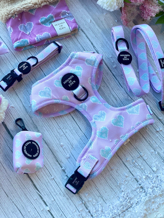 Don’t Go Barking My Heart - Pink and Teal hearts Poop Bag Holder