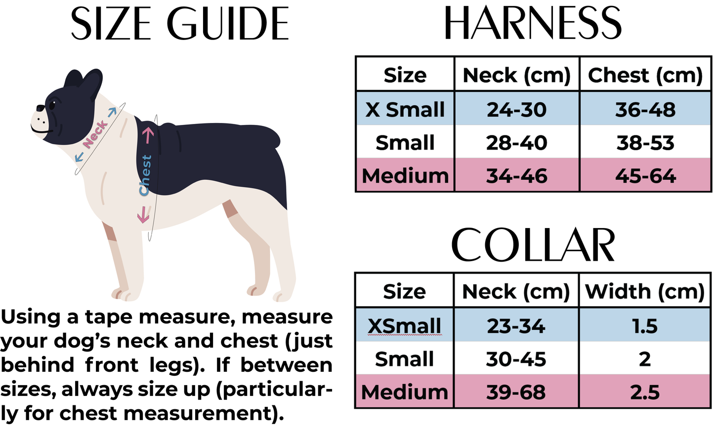 Ruby Red Velvet Harness