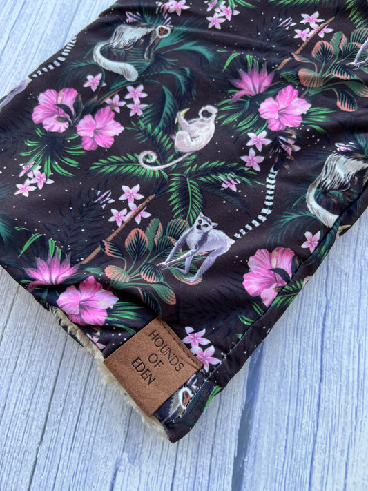 Midnight Madagascar - Dog Snood