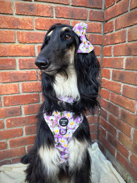 Daisy Dreams Design Dog Lead