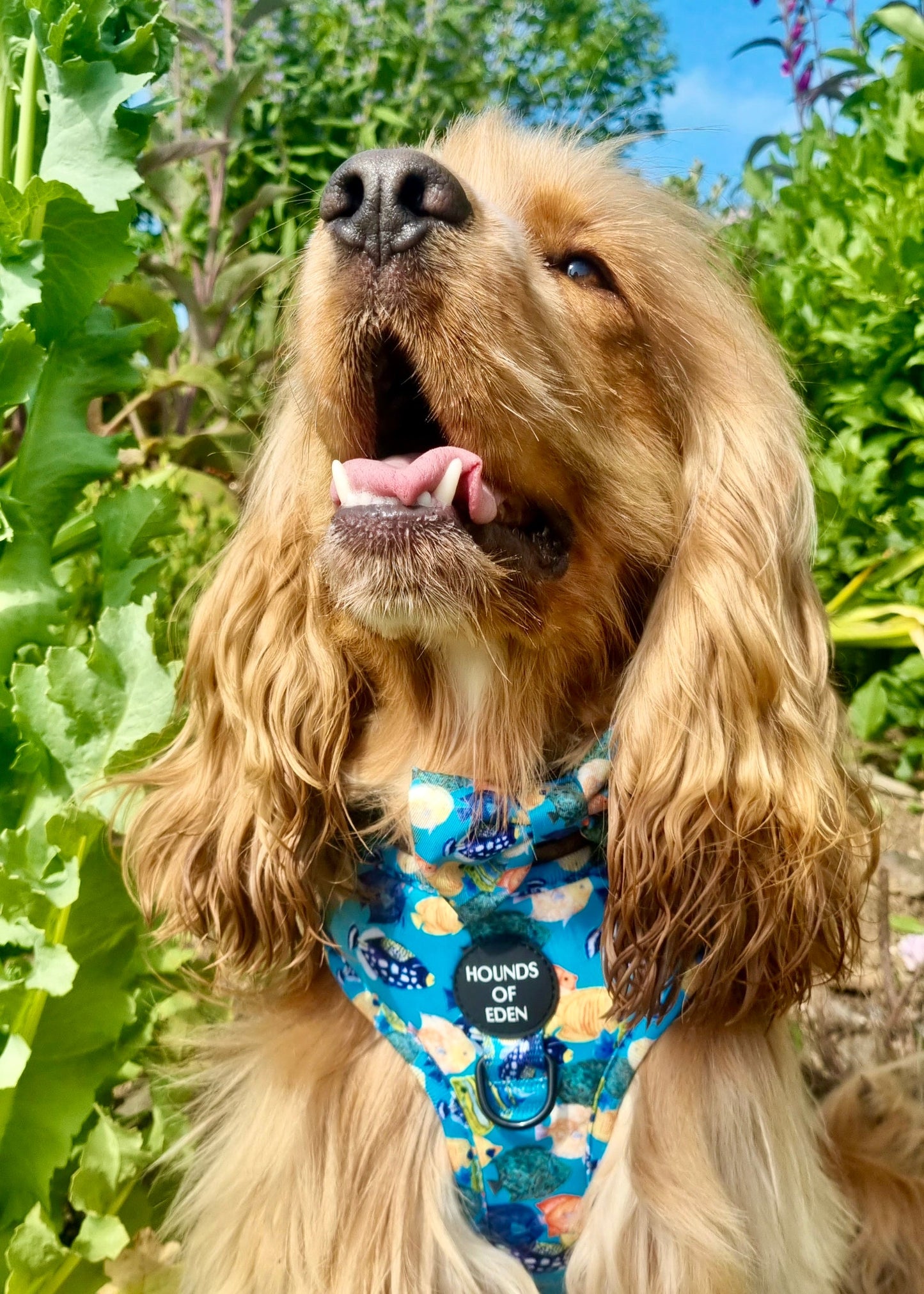 Under The Sea Design Dog Bow Tie