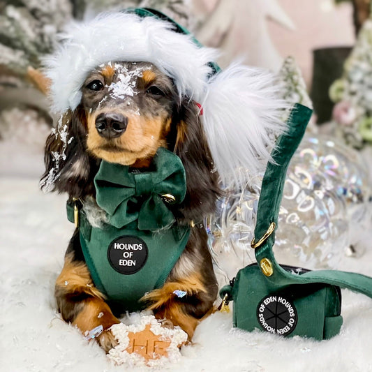 Olive Green Velvet Harness