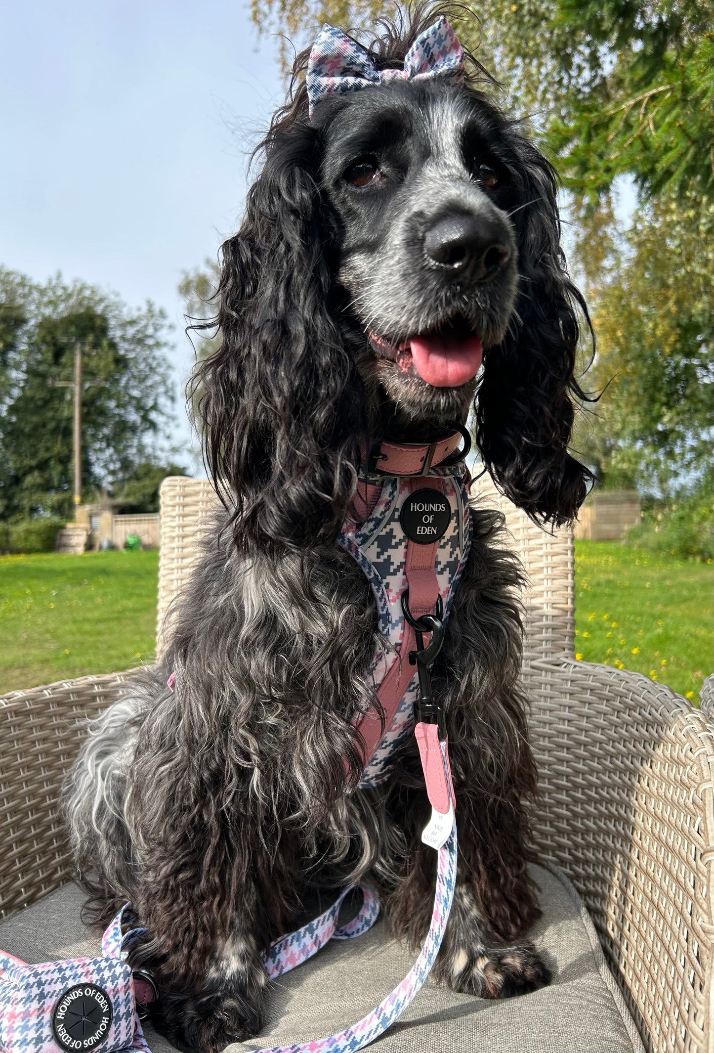 Pink Houndstooth Leather Dog Lead