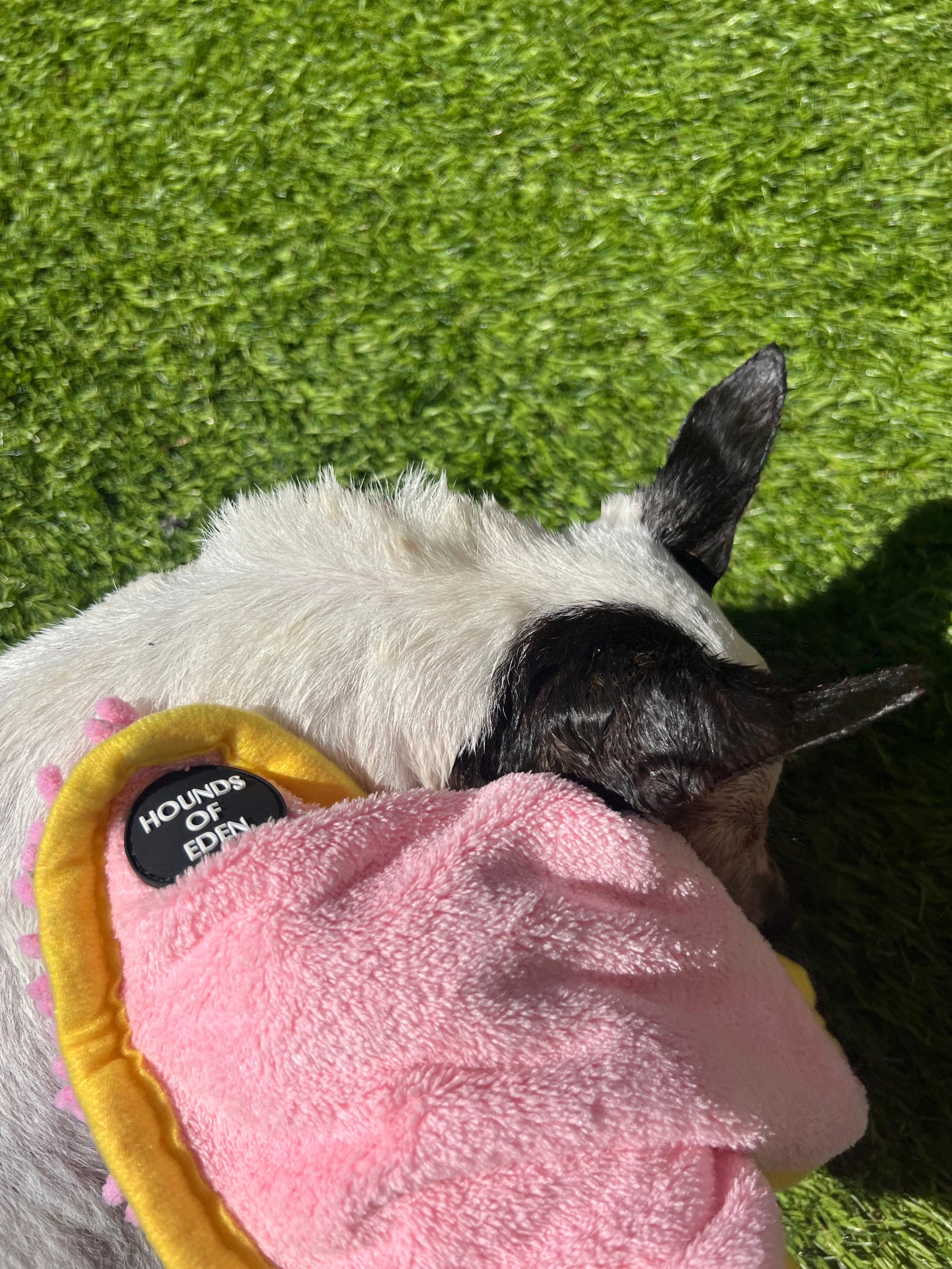 Mini Dog Towel + Clip, Grey & Black