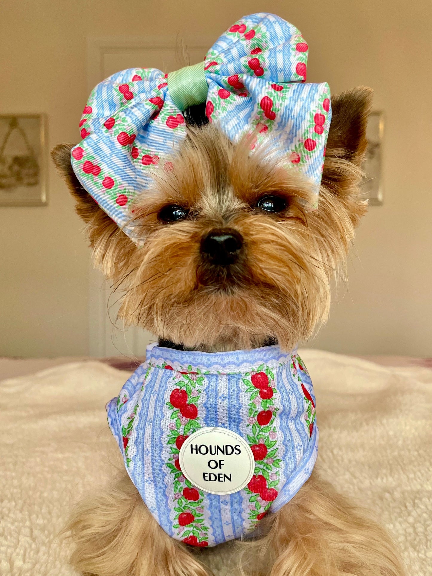 Eden's Orchard Dog Cooling Vest