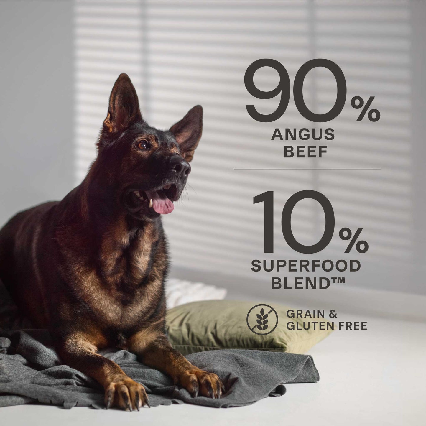 Angus Beef Wet Dog Food