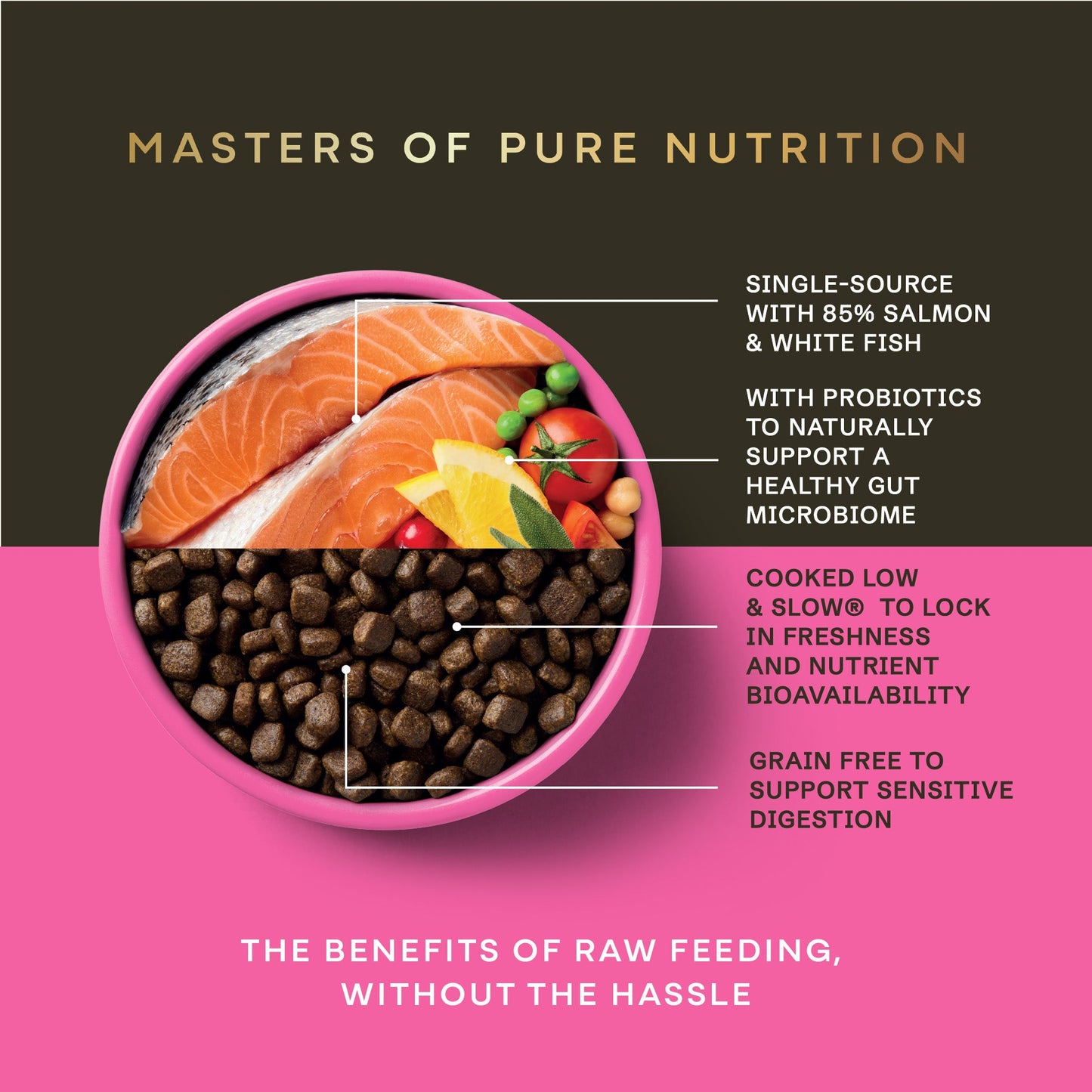 Salmon Dry Food for Puppies