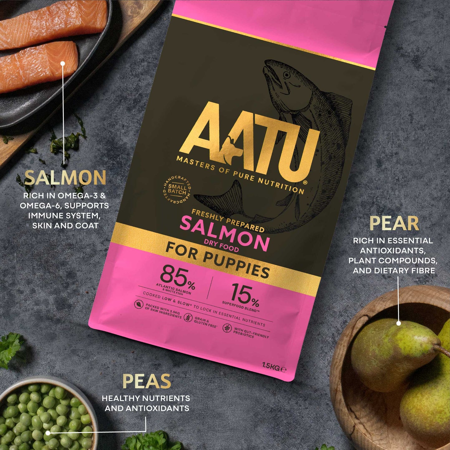 Salmon Dry Food for Puppies
