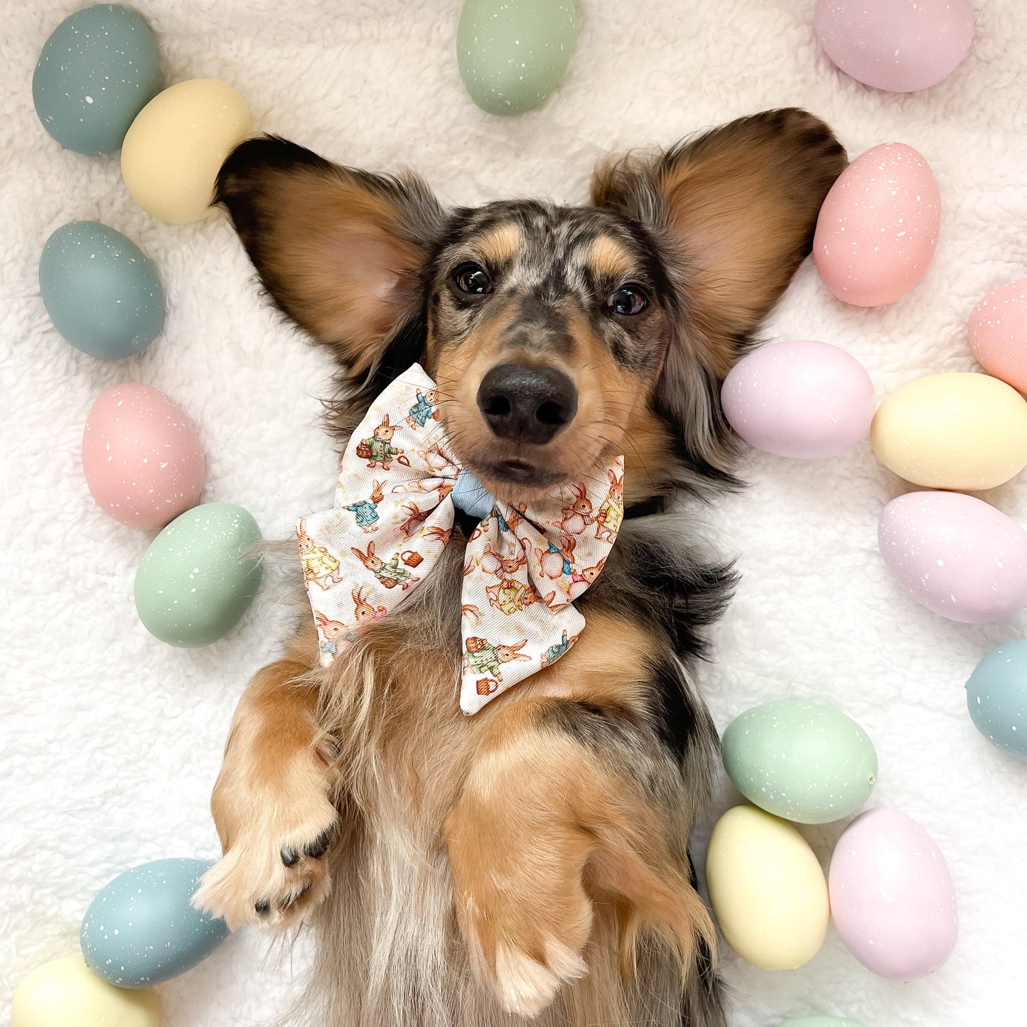 Bunny Tales - Blue, Sailor Bow Tie