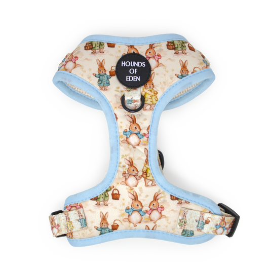 Bunny Tales - Blue, Dog Harness (XXS-XS)