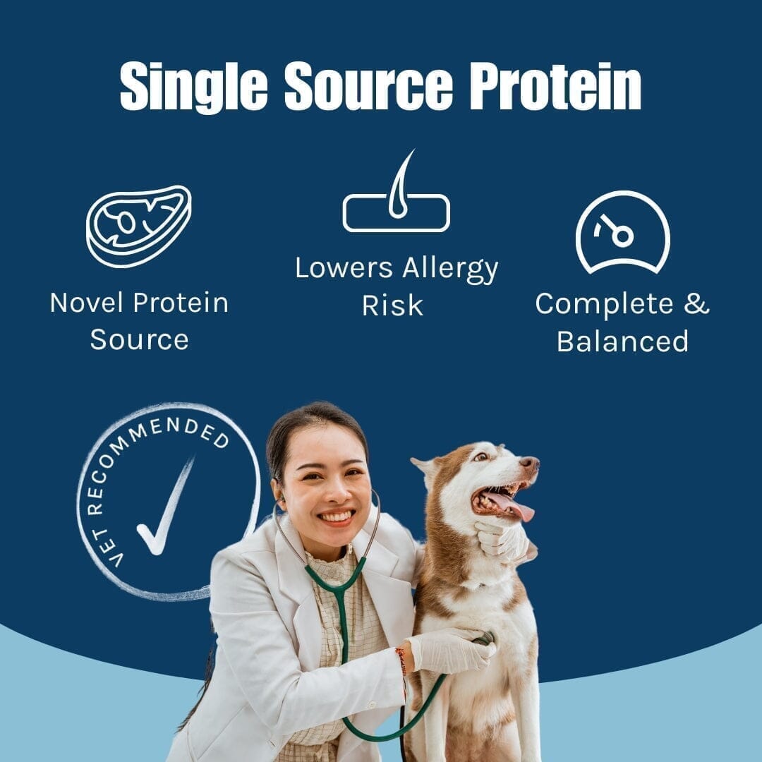 Pure Kangaroo Wet Dog Food (Australia)