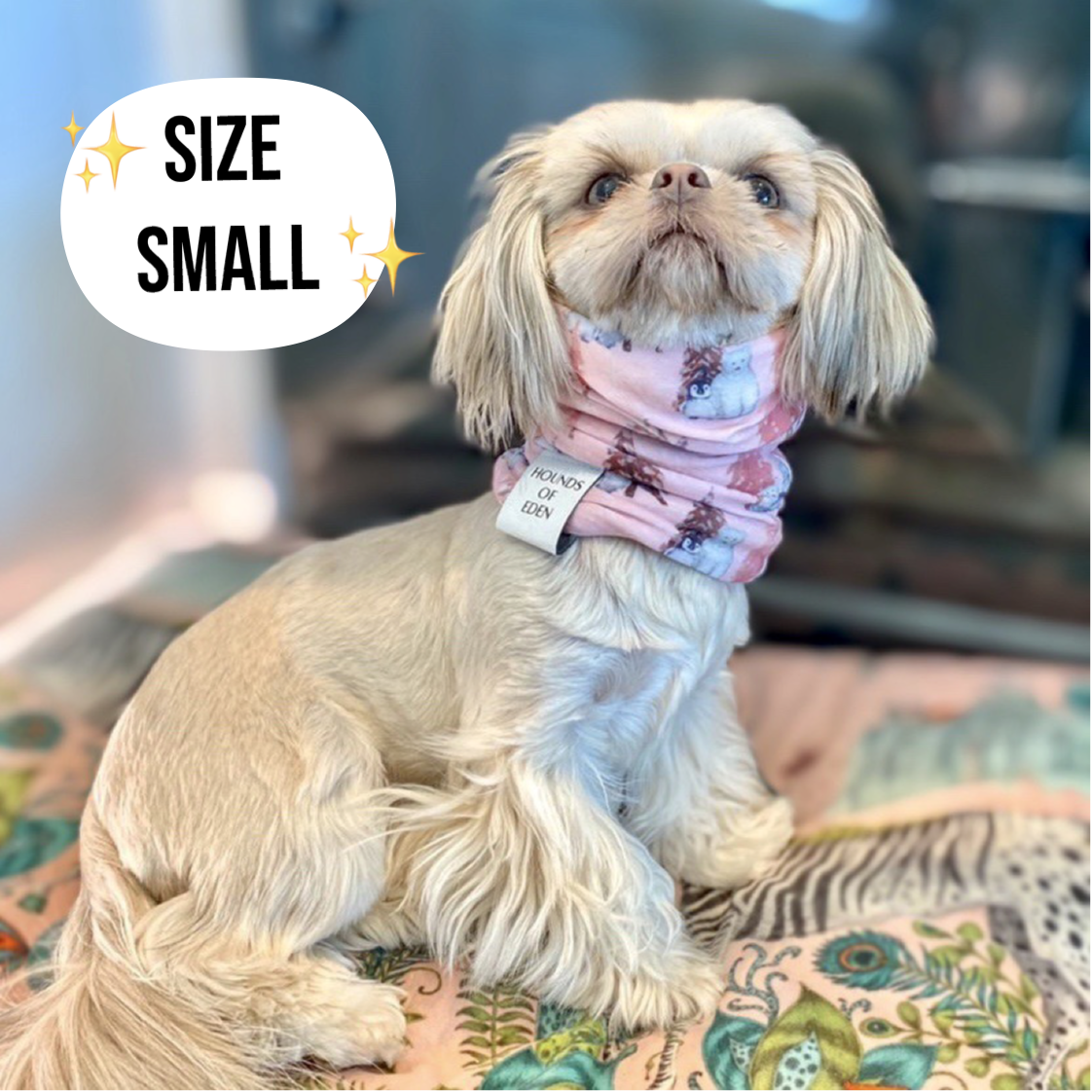 Florentina Dog Snood