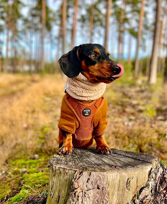 Dog Hoodie - Brown