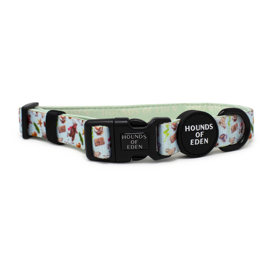 Teddy it's Cold Outside Dog Collar