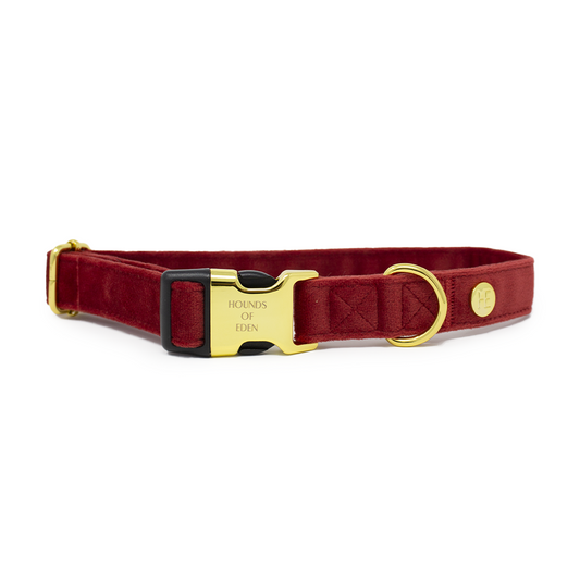 Ruby Red Velvet Collar