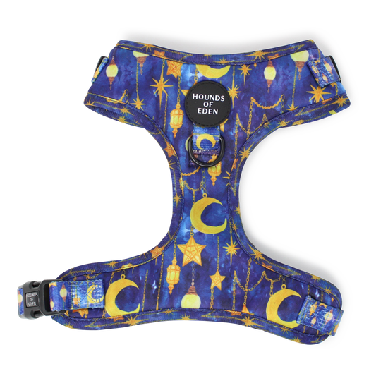 Arabian Nights - Blue and Gold Dog Harness