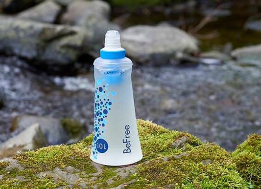 Katadyn Befree Filter Bottle