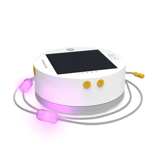 Luci Solar String Lights: Color 18' (USBC)