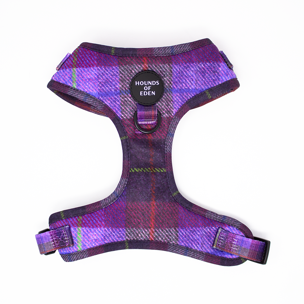 'Molly' - Pink & Purple Check Dog Harness