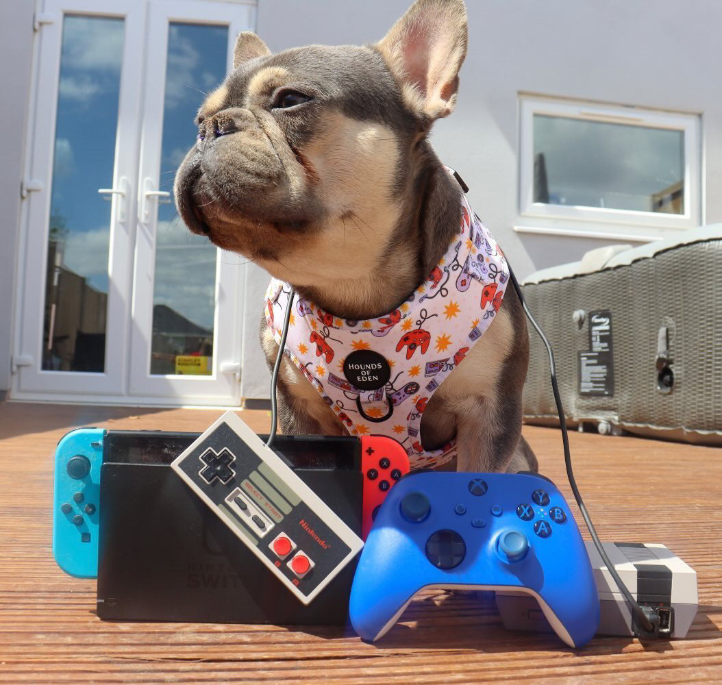 Nintendawg Design Dog Harness