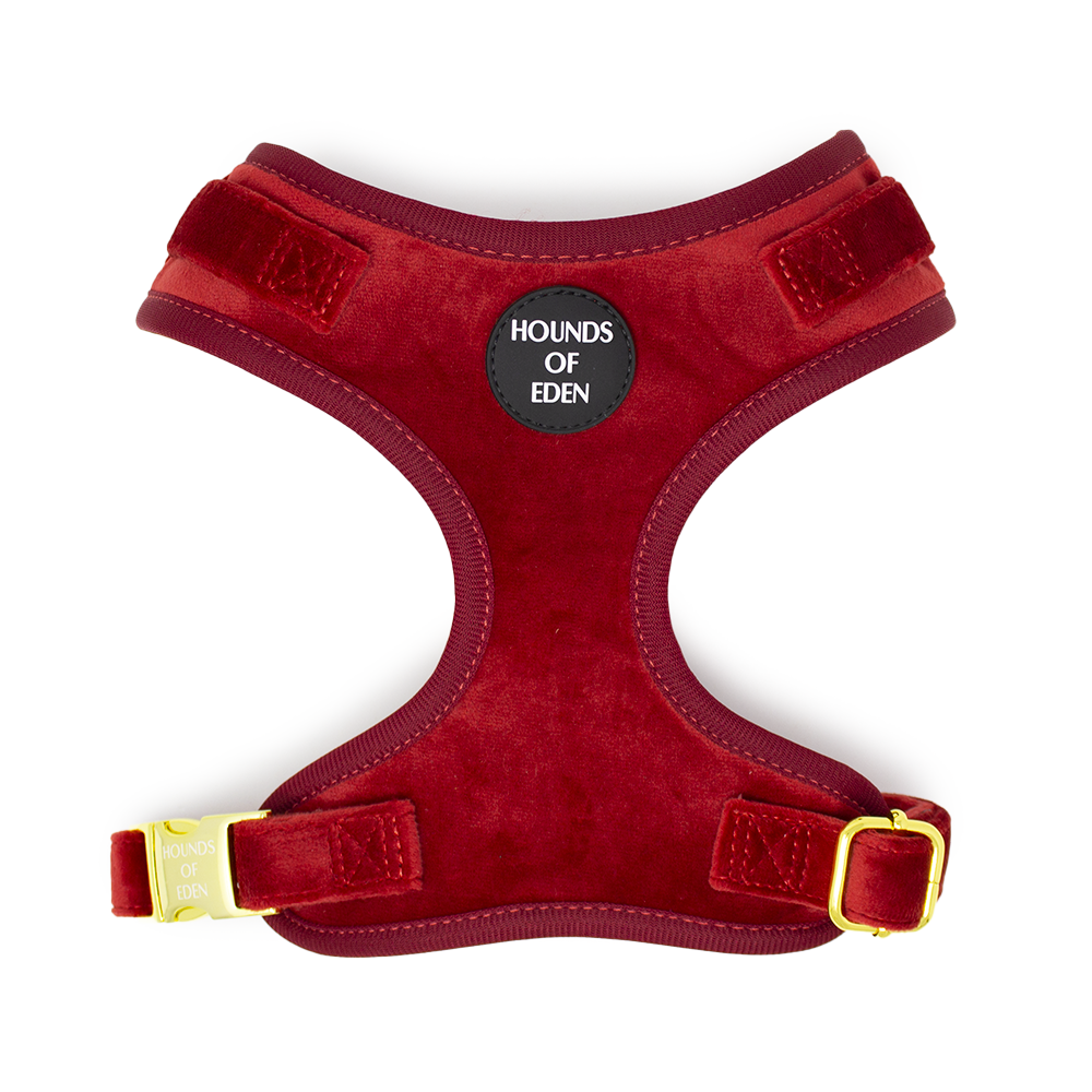 Ruby Red Velvet Collar