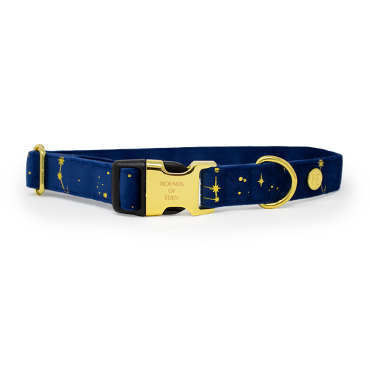 Sapphire Stars Velvet Collar