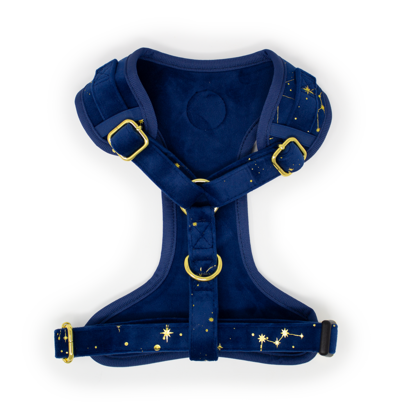 Sapphire Stars Velvet Collar
