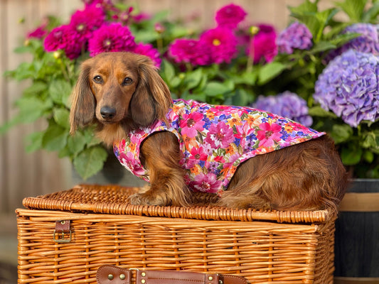 Florentina Dog Cooling Vest