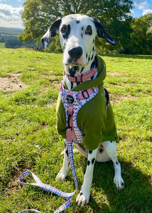 Dog Hoodie - Olive Green