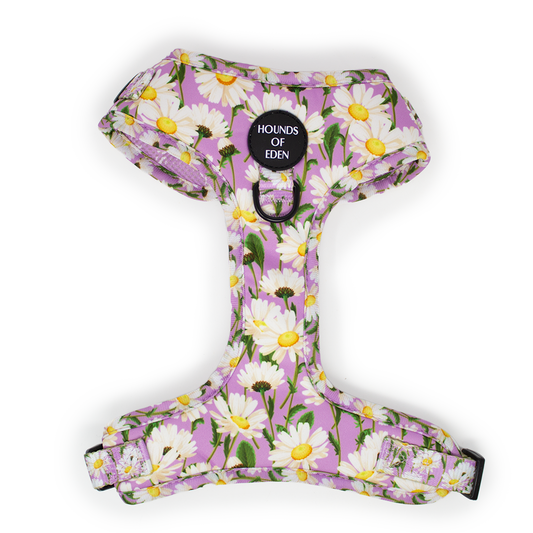 Daisy Dreams Design Dog Harness