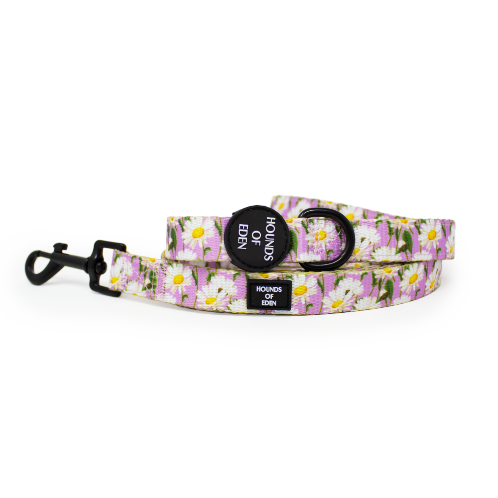 Daisy Dreams Design Dog Harness