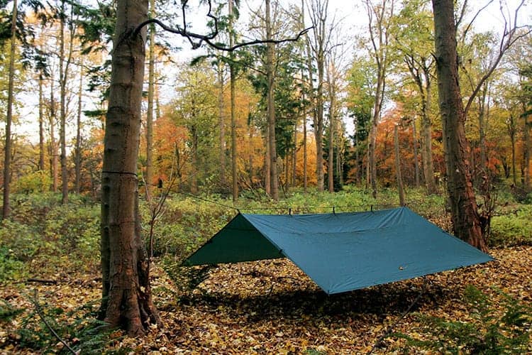 DD Forest Green 4 x 4 Tarp