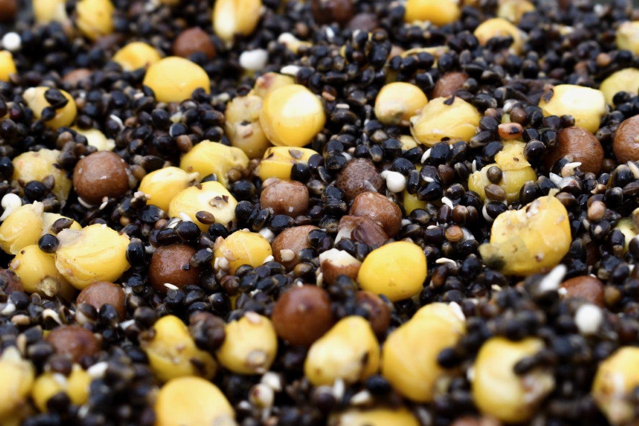 Hemp & Maize & Maples