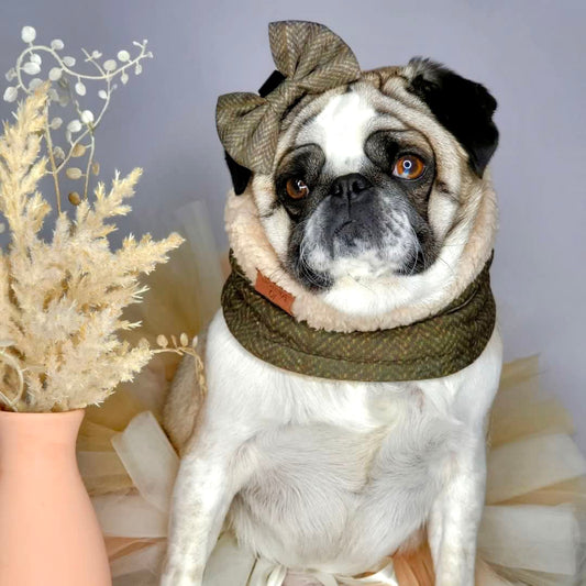 Max Tweed Effect Dog Snood