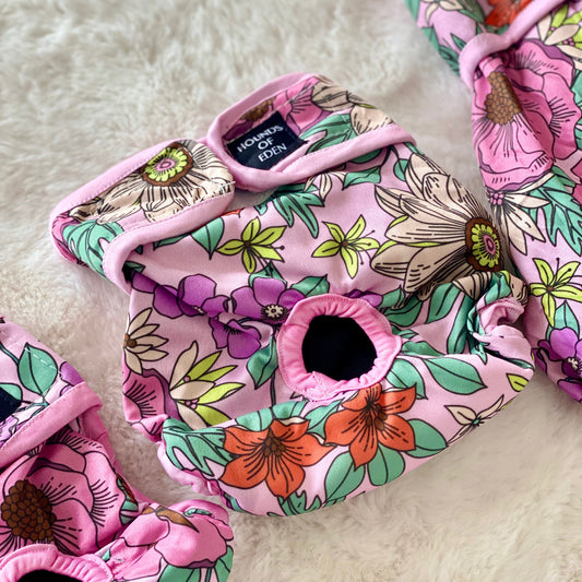 Wild Blossom - Dog Season Hygiene Panties