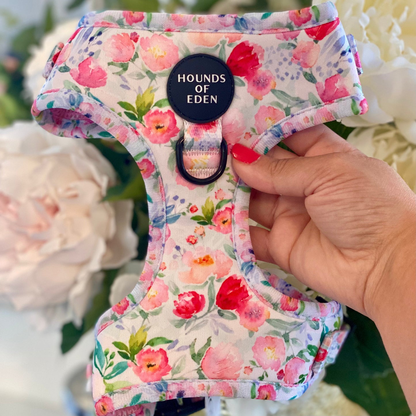 Ziggy's Secret Garden Design Dog Collar