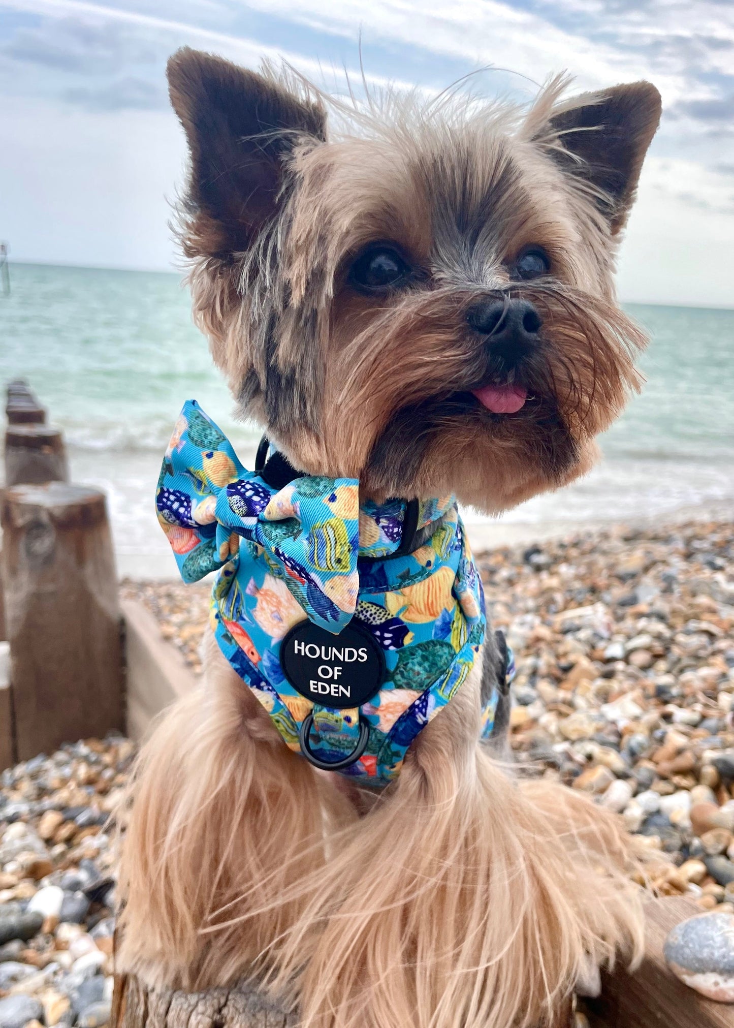 Under The Sea Design Dog Bow Tie