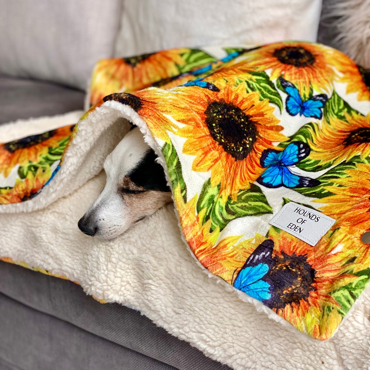 Sunflower Flutter Dog Snuggle Blanket