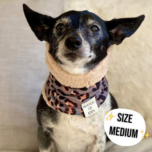 Steel Leopard Dog Snood