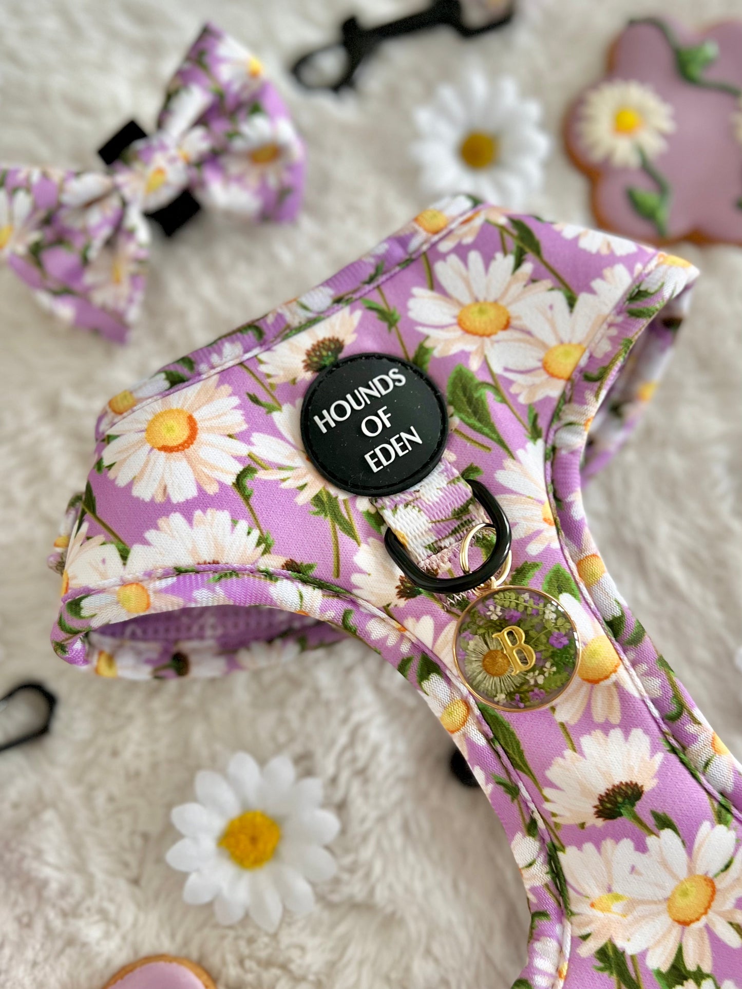 Daisy Dreams Design Dog Harness