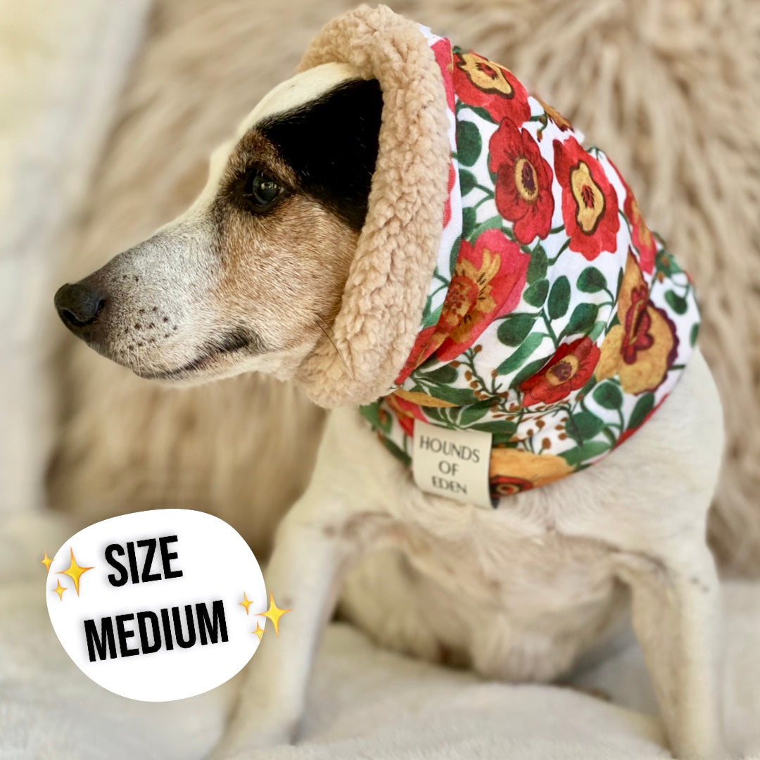 Autumn Blossom - Dog Snood