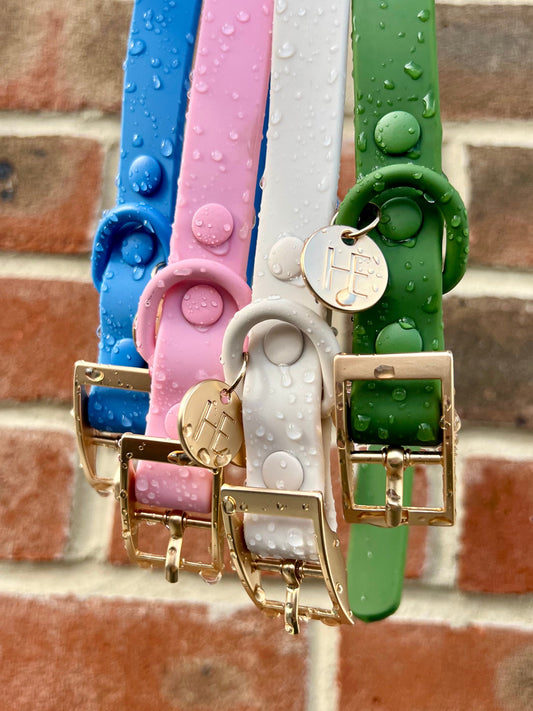 Forest Green 'All Weather' Dog Collar