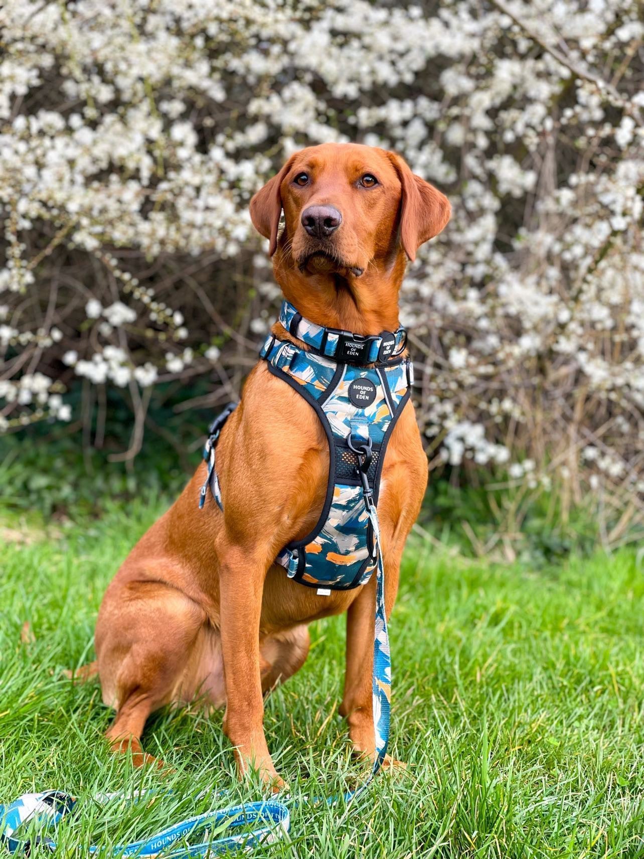 Supaw Strong™ 'Brush It Off' Utility Harness