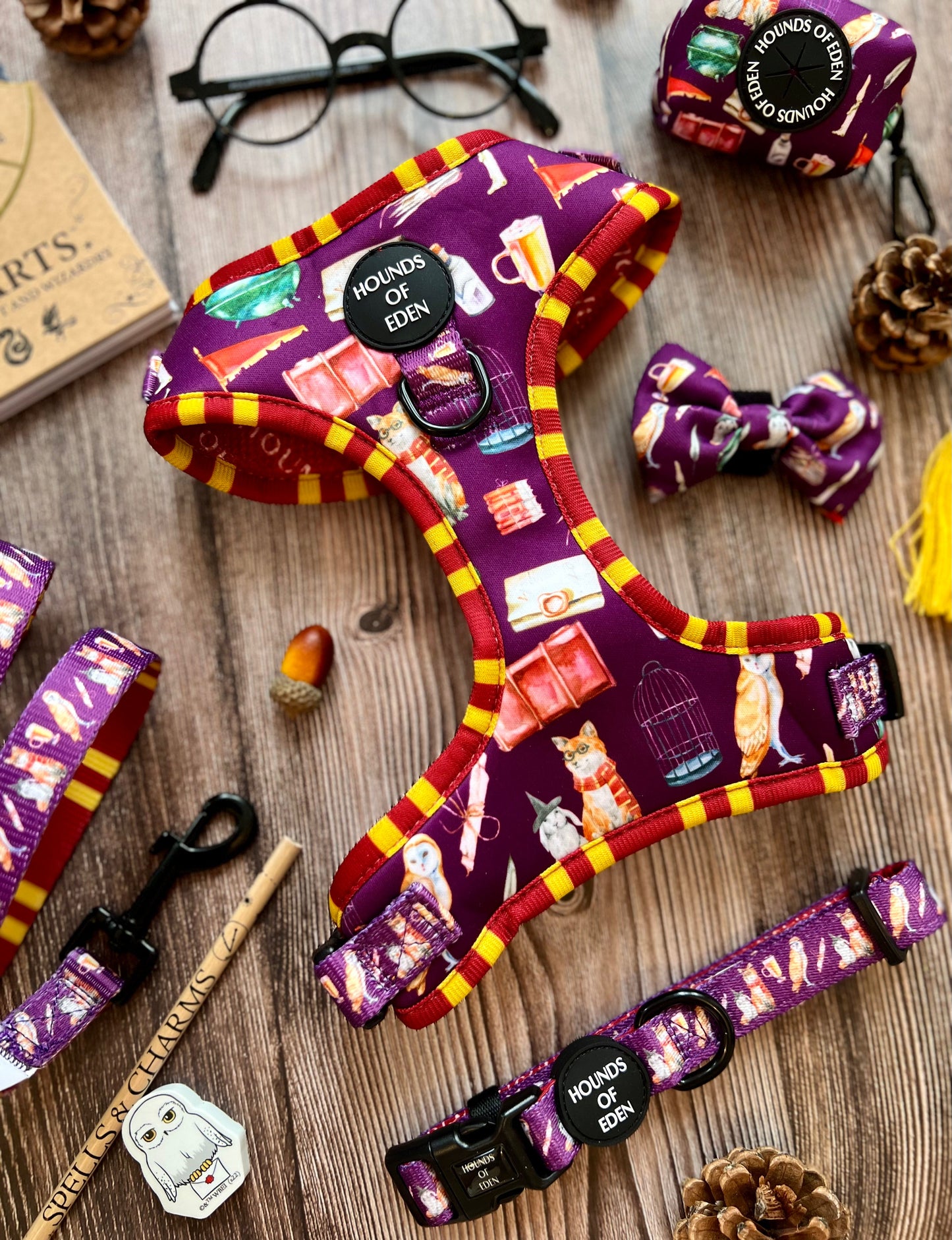 Harry Pawter Design Dog Lead