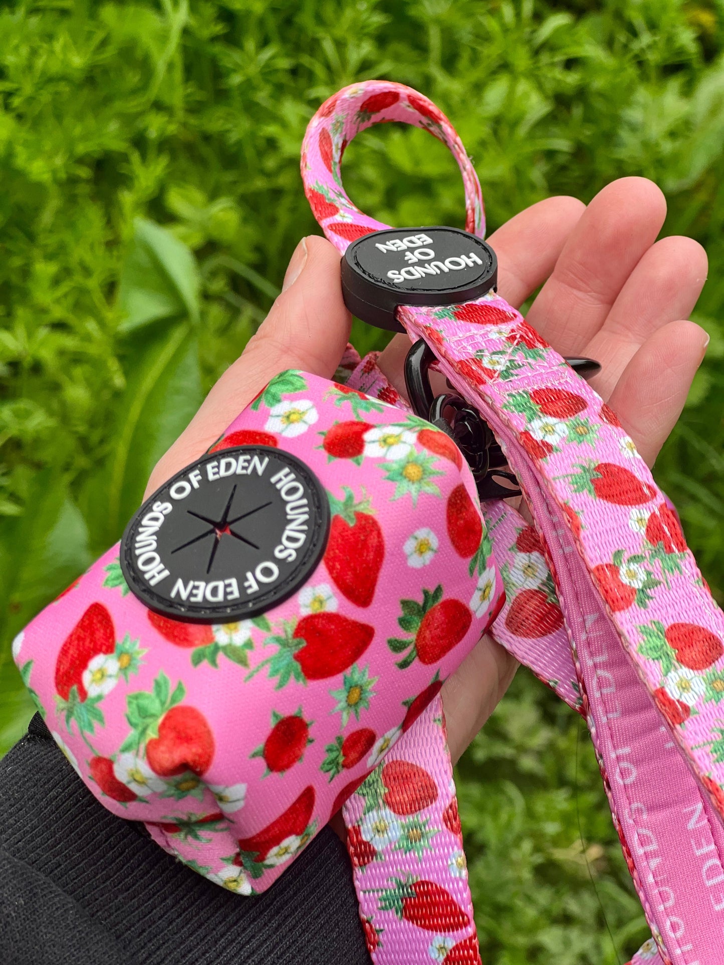 Strawberry Patch Design Dog Collar